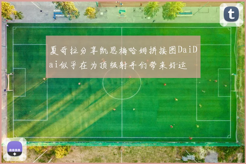 夏奇拉分享凯恩梅哈姆拼接图DaiDai似乎在为顶级射手们带来好运