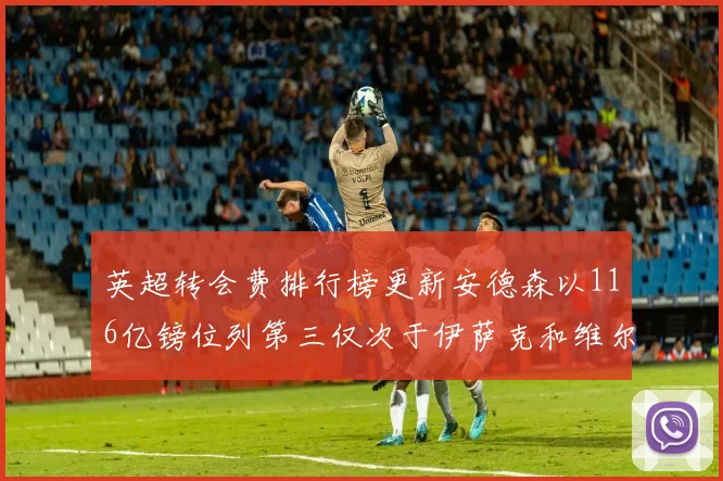 英超转会费排行榜更新安德森以116亿镑位列第三仅次于伊萨克和维尔茨