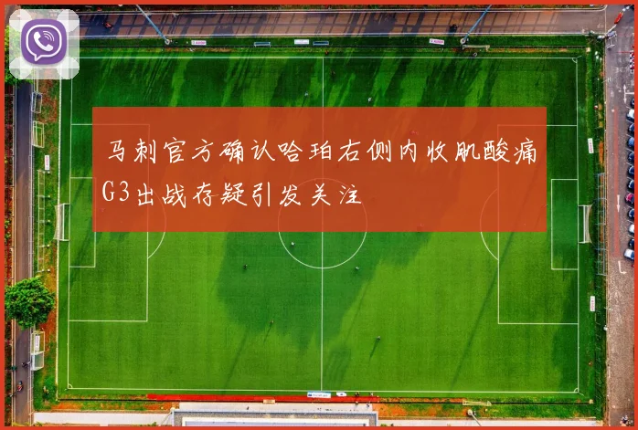 马刺官方确认哈珀右侧内收肌酸痛G3出战存疑引发关注